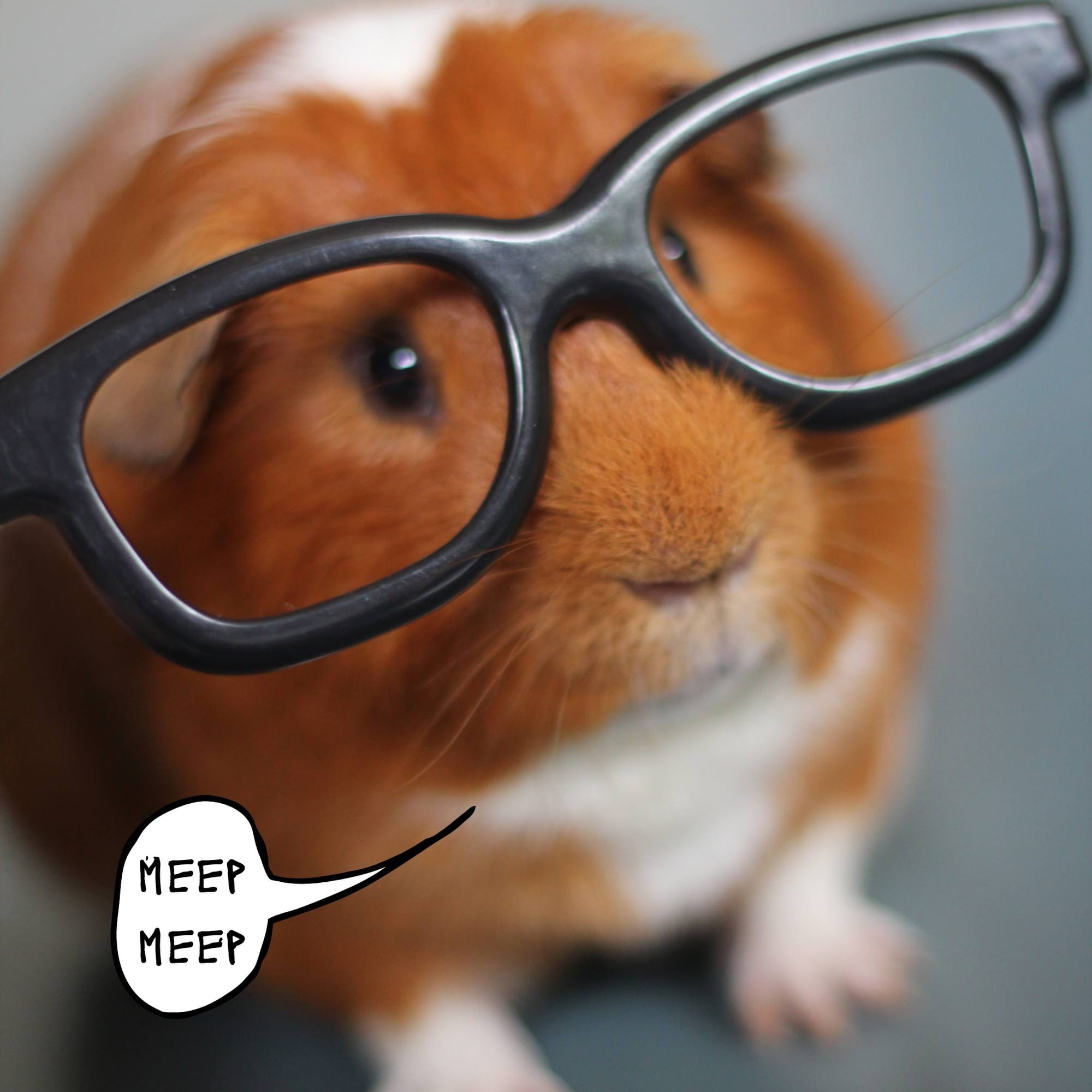 Wanna be my guinea pig?