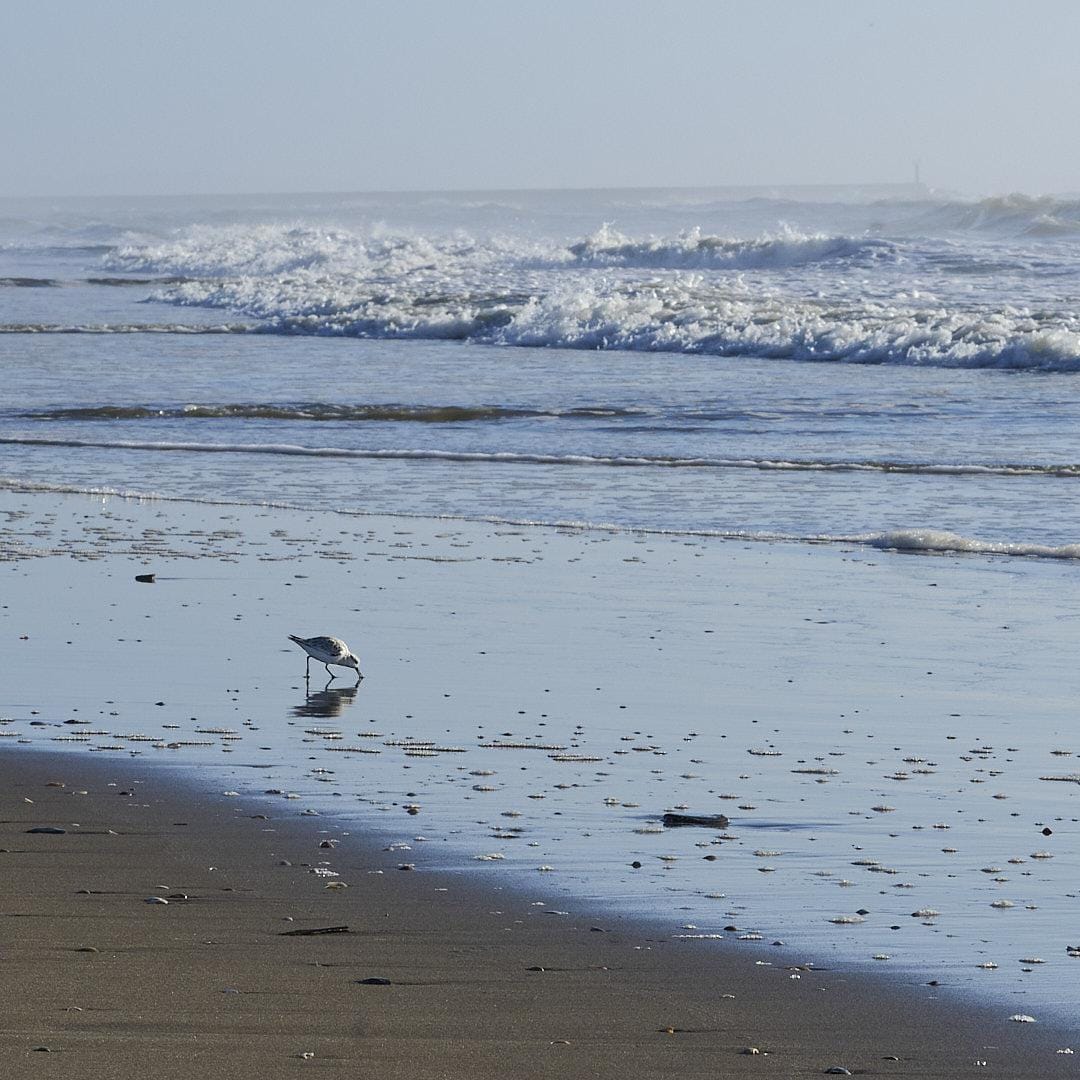 Only Forward, Missing Nothing