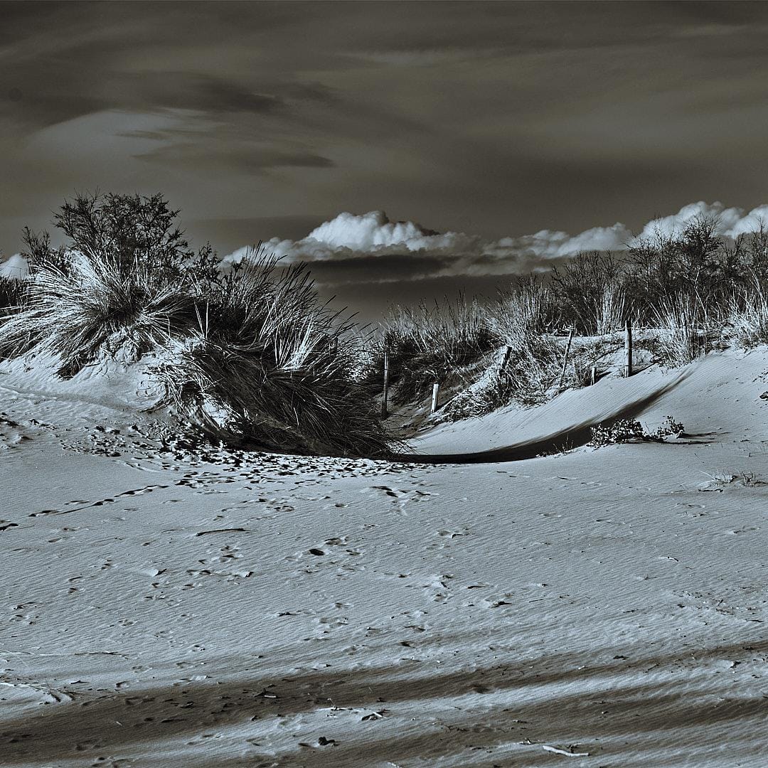 Only Forward, Missing Nothing